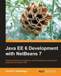 Java EE 6 Development with NetBeans 7 - pdf -  电子书免费下载