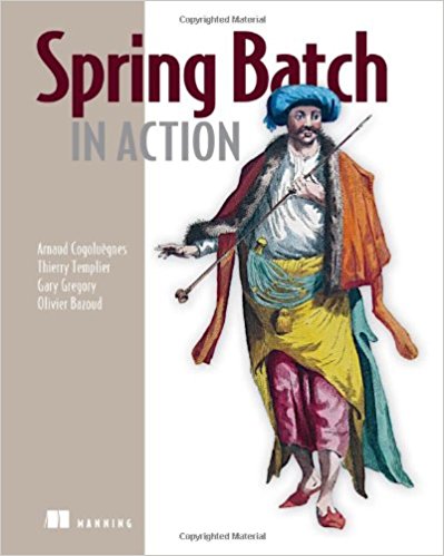 Spring Batch in Action - pdf -  电子书免费下载